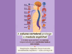 Dicas para cuidar da coluna
